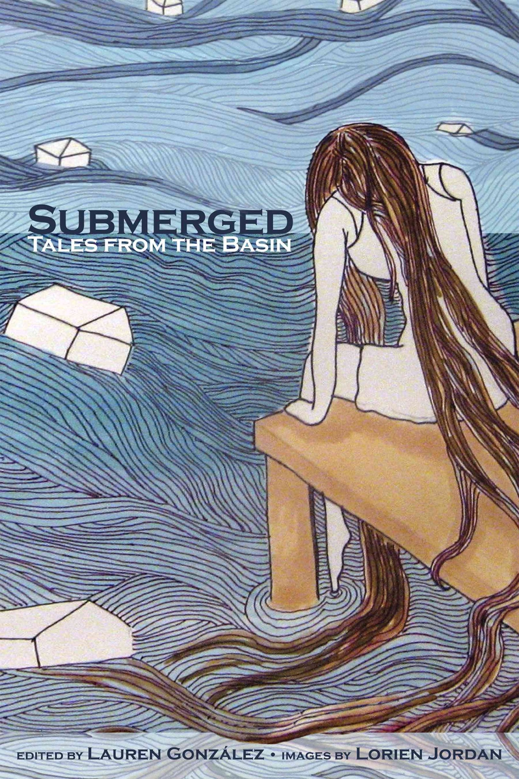 Submerged: Tales from the Basin book