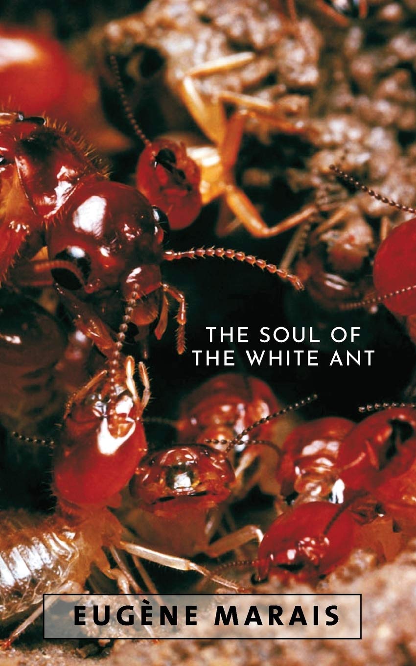 The Soul of the White Ant Leisure, Home & Garden