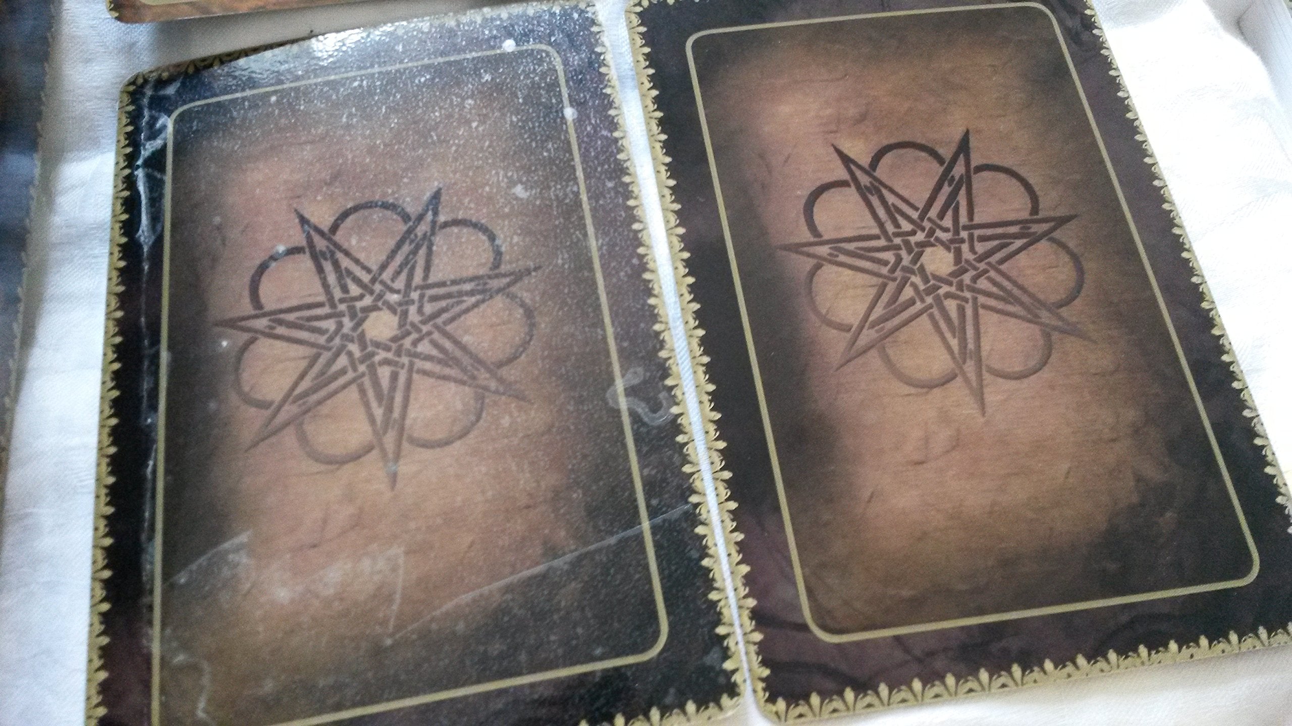 Wild Wisdom of Faery Oracle: Oracle Card and Book Set Religion & Esotericism