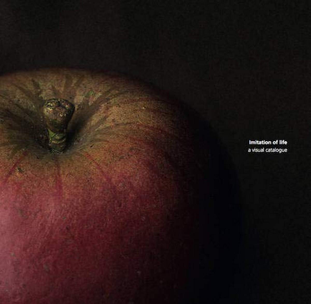 Imitation of Life: A visual catalogue of the 19th century fruit models in the Santos Museum of Economic Botany in the Adelaide Botanic Garden Film, Art & Culture