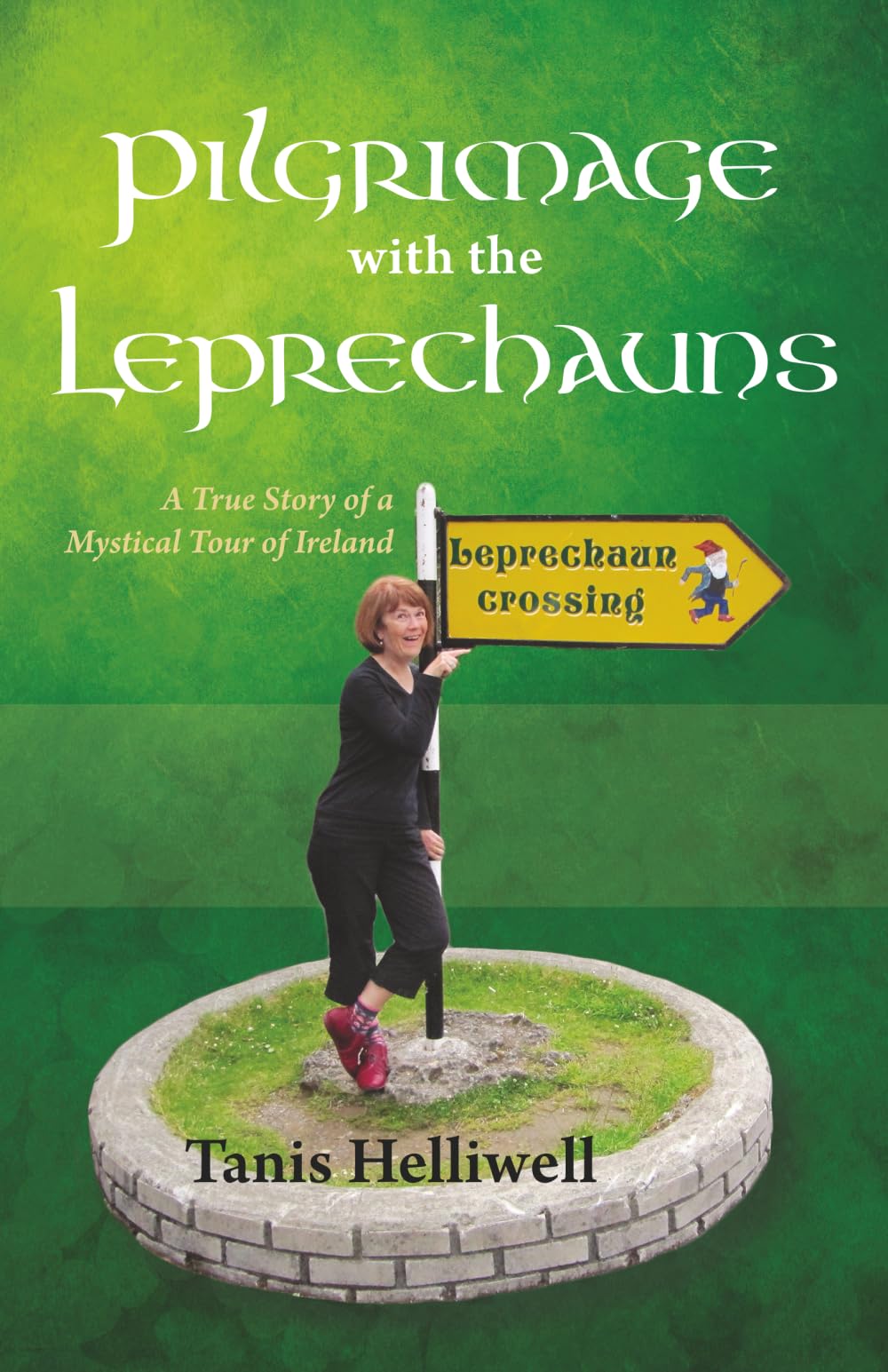 Pilgrimage with the Leprechauns Social Sciences Books