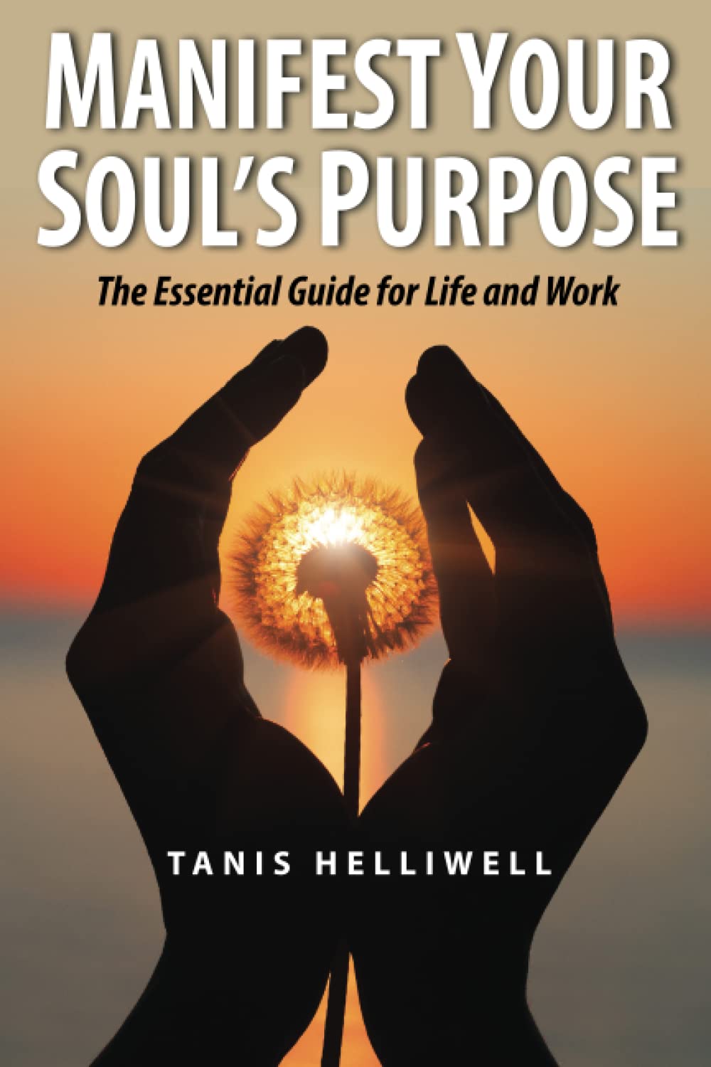 Manifest Your Soul's Purpose: The essential guide for life and work Lifestyle
