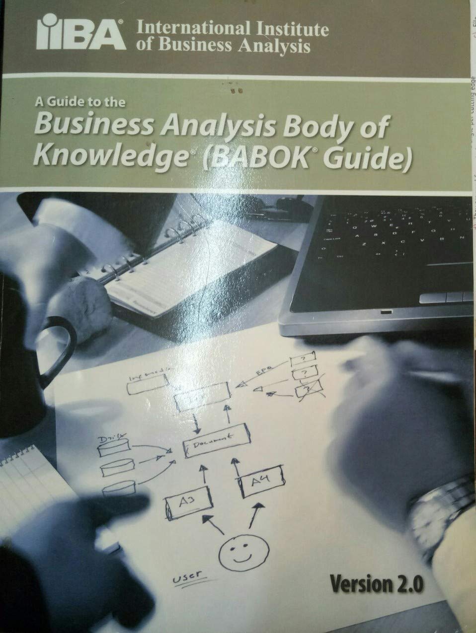 A Guide to the Business Analysis Body of Knowledge: Version 2.0 Business, Finance & Career