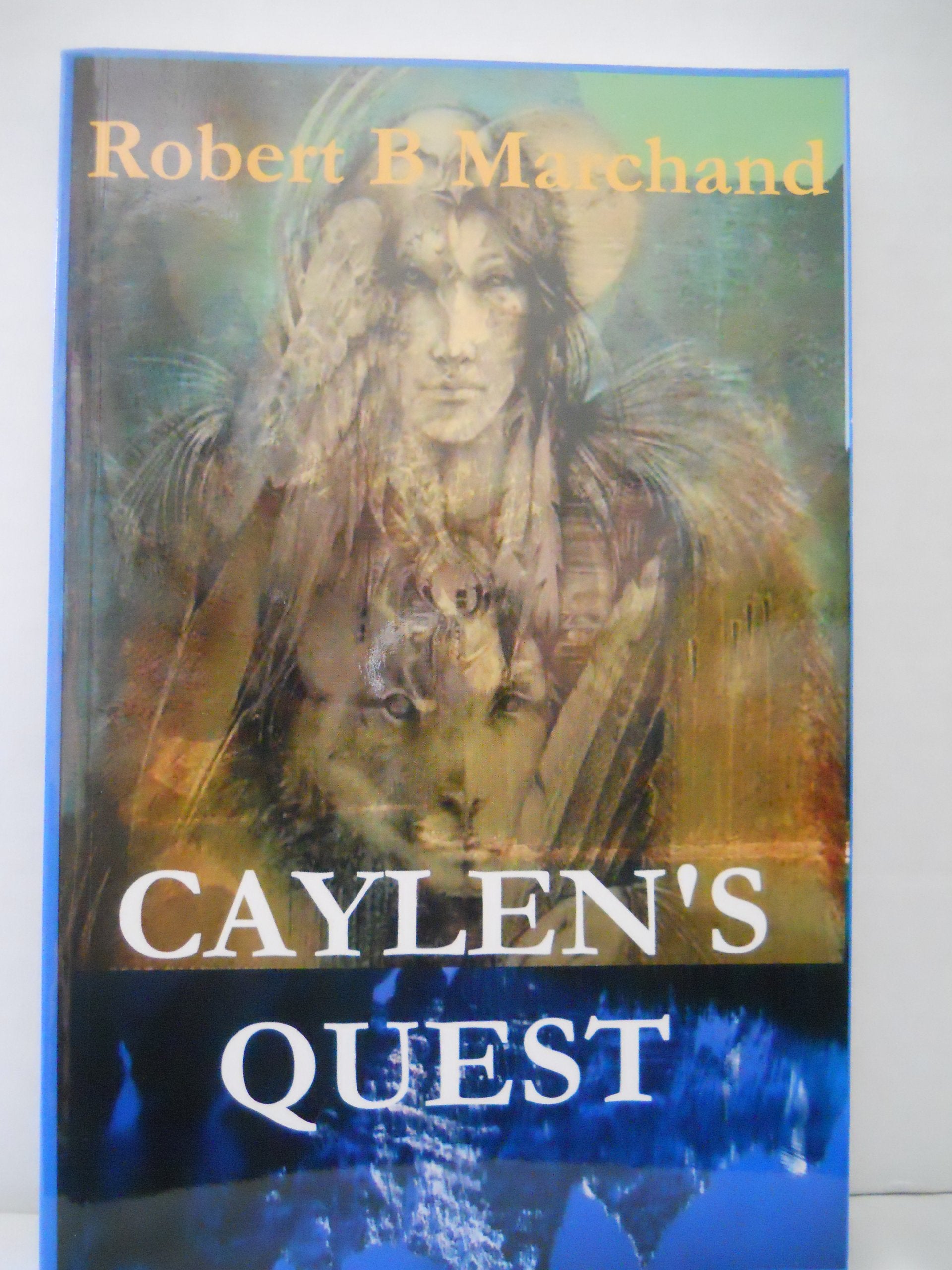 Product Image: Caylen's Quest