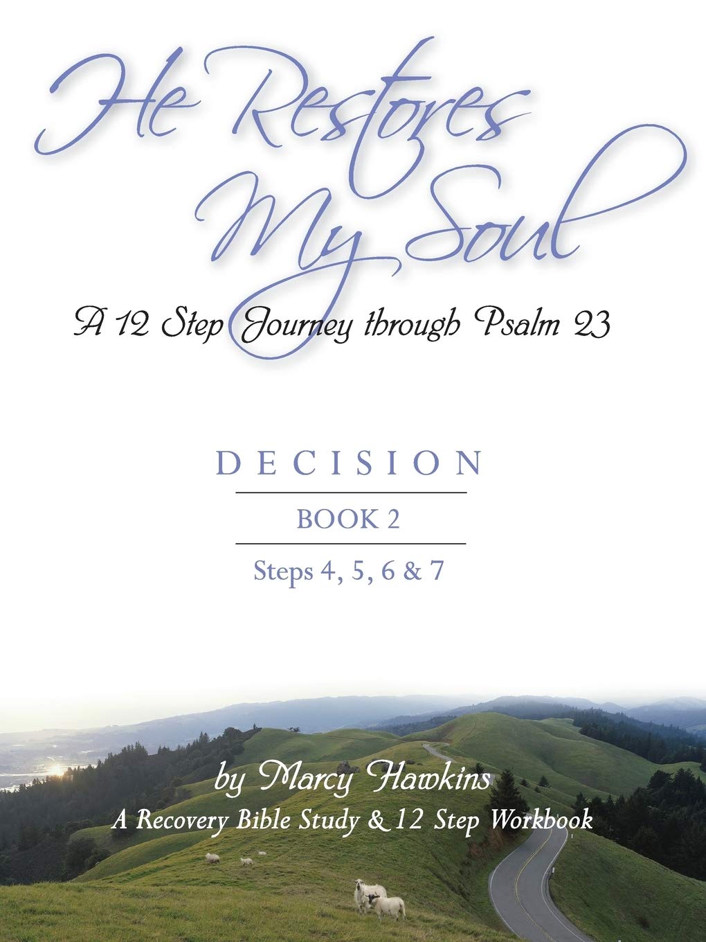 He Restores My Soul; A 12 Step Journey Through Psalm 23; DECISION; BOOK 2 Politics & History