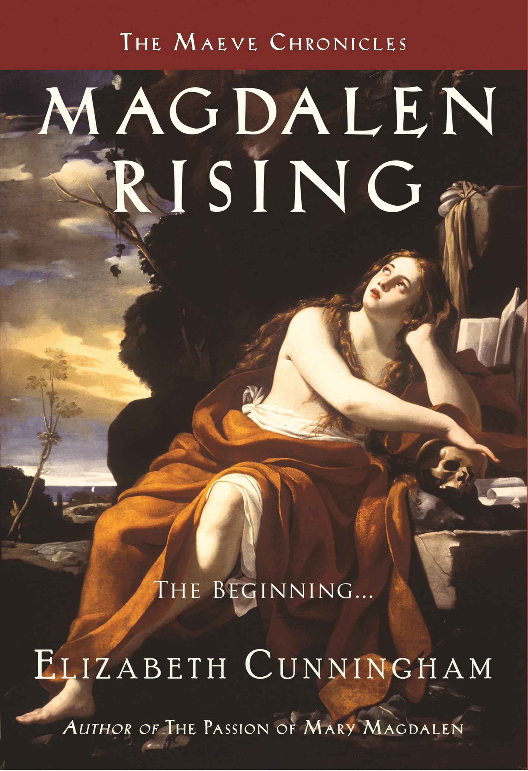 Magdalen Rising: The Beginning (The Maeve Chronicles) Contemporary literature