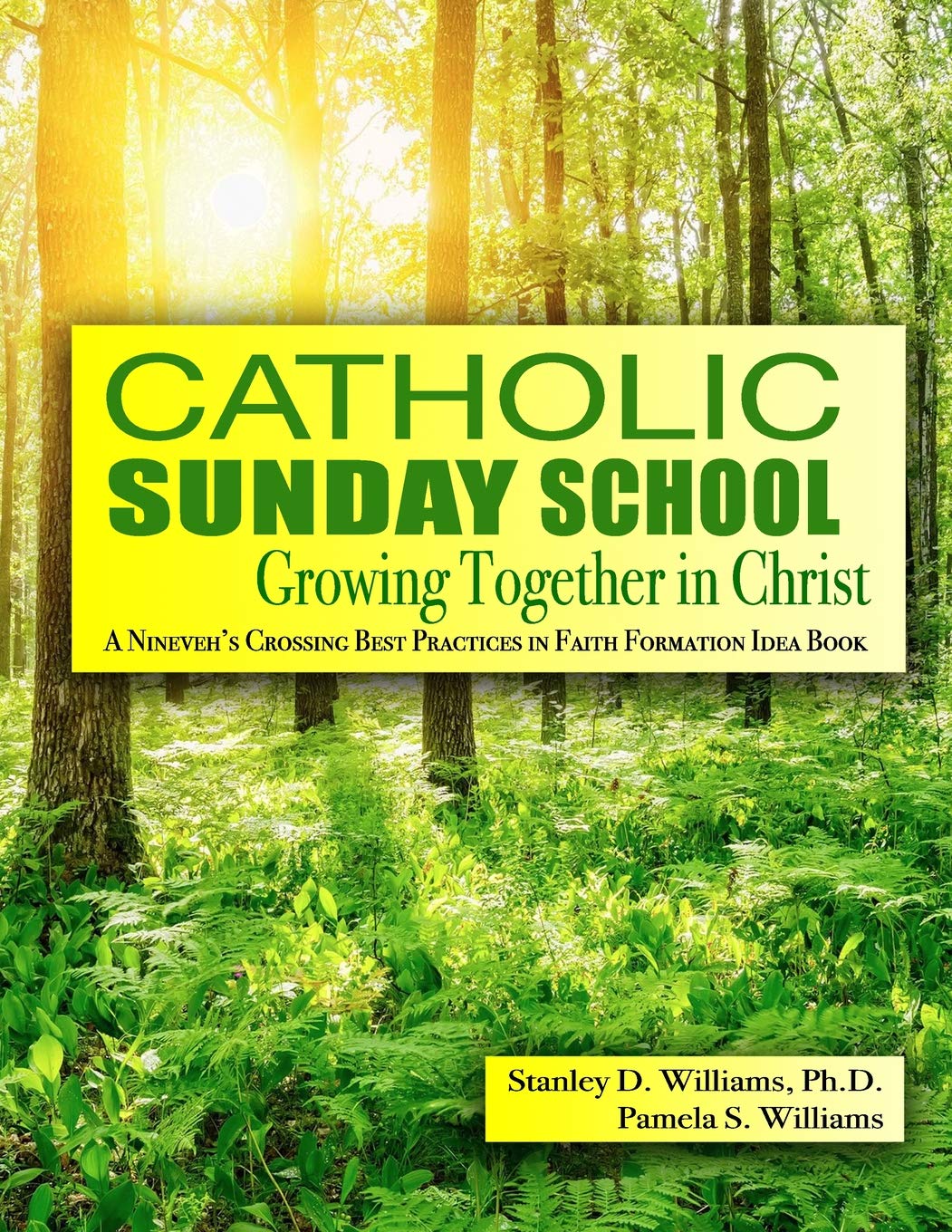 Catholic Sunday School: Growing Together in Christ (A Faith Formation Best Practices Idea Book) Religion & Esotericism