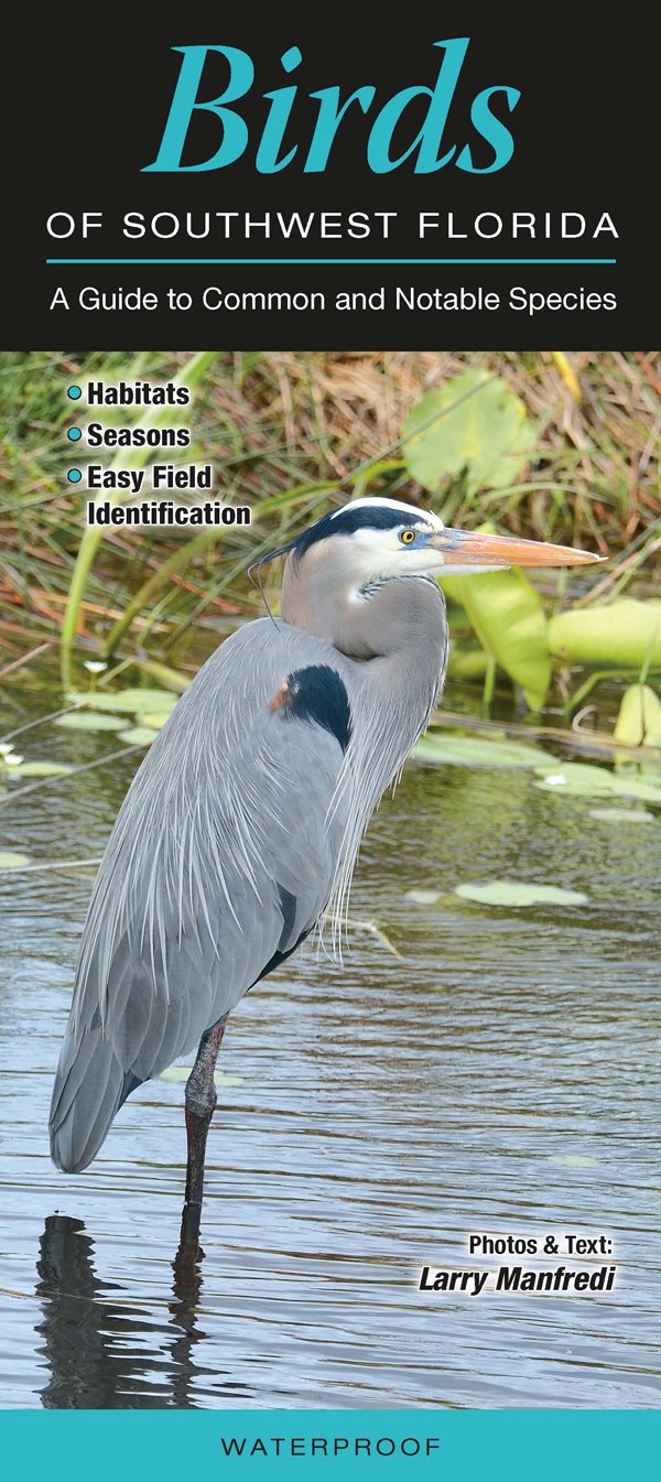 Birds of Southwest Florida: A Guide to Common & Notable Species (Quick Reference Guides) Computer Science