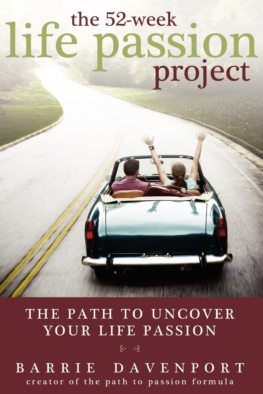 The 52-Week Life Passion Project Business, Finance & Career