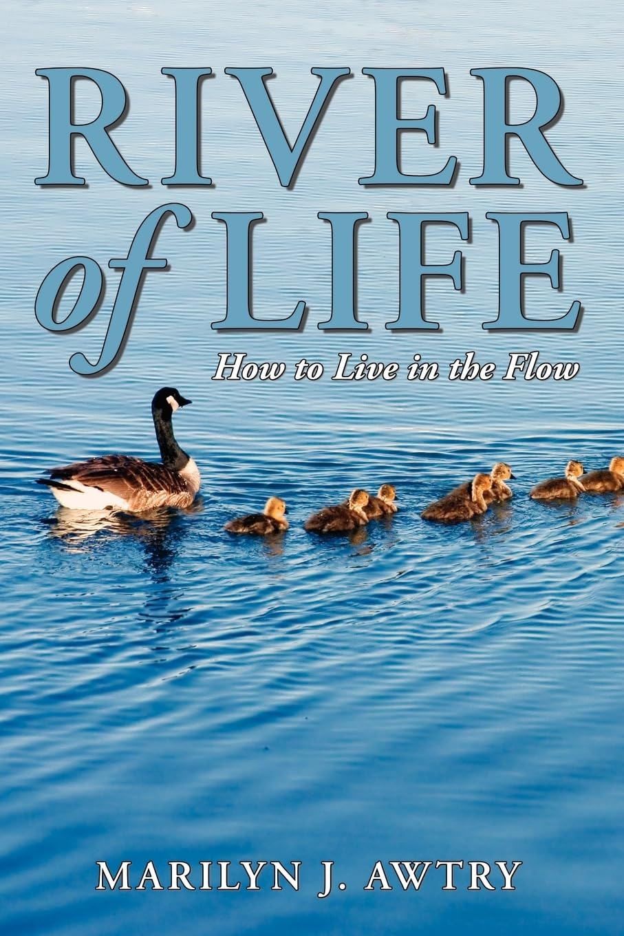 River of Life - How to Live in the Flow Law