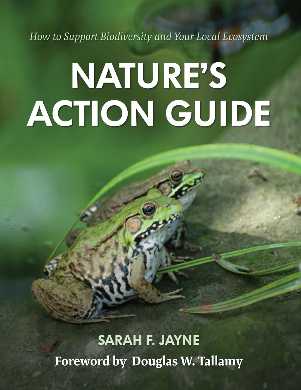 Nature's Action Guide: How to Support Biodiversity and Your Local Ecosystem Mathematics