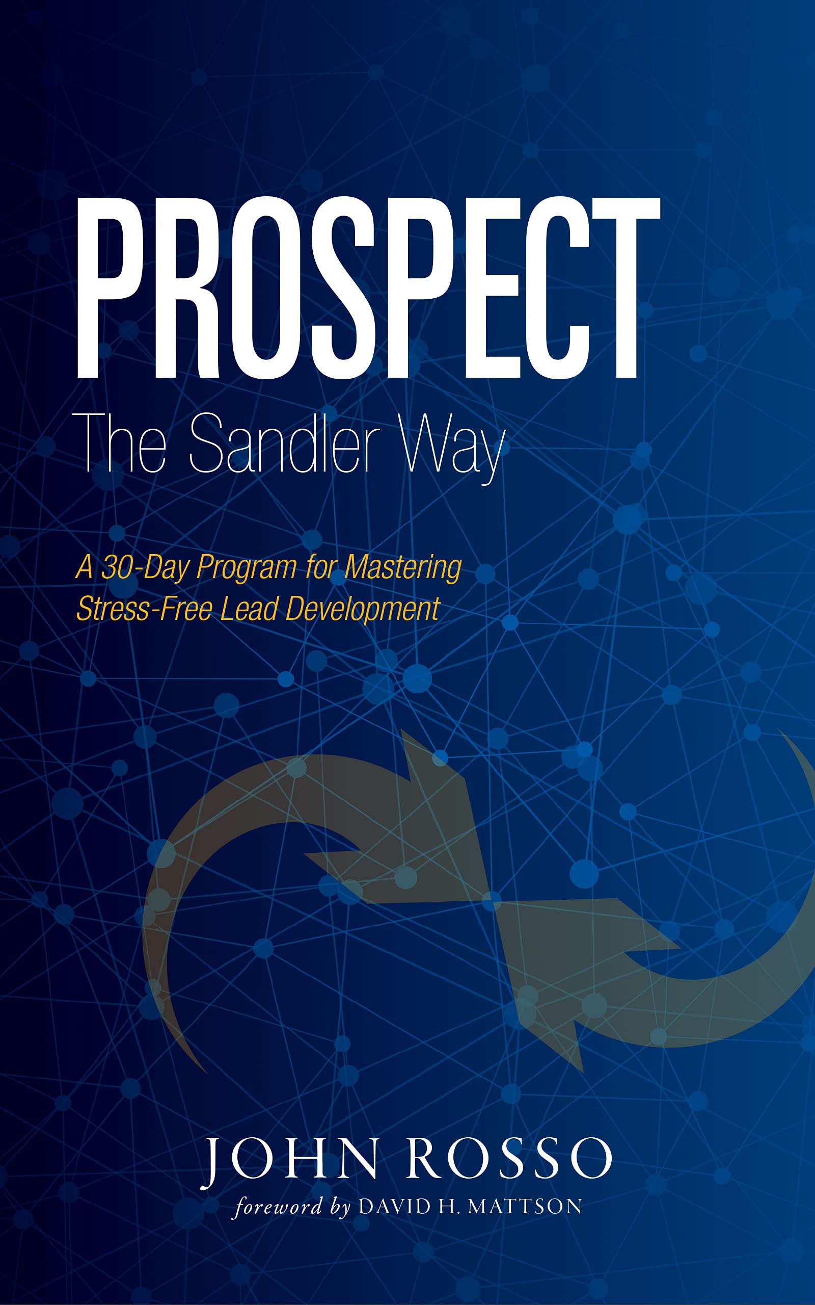 Prospect the Sandler Way Books