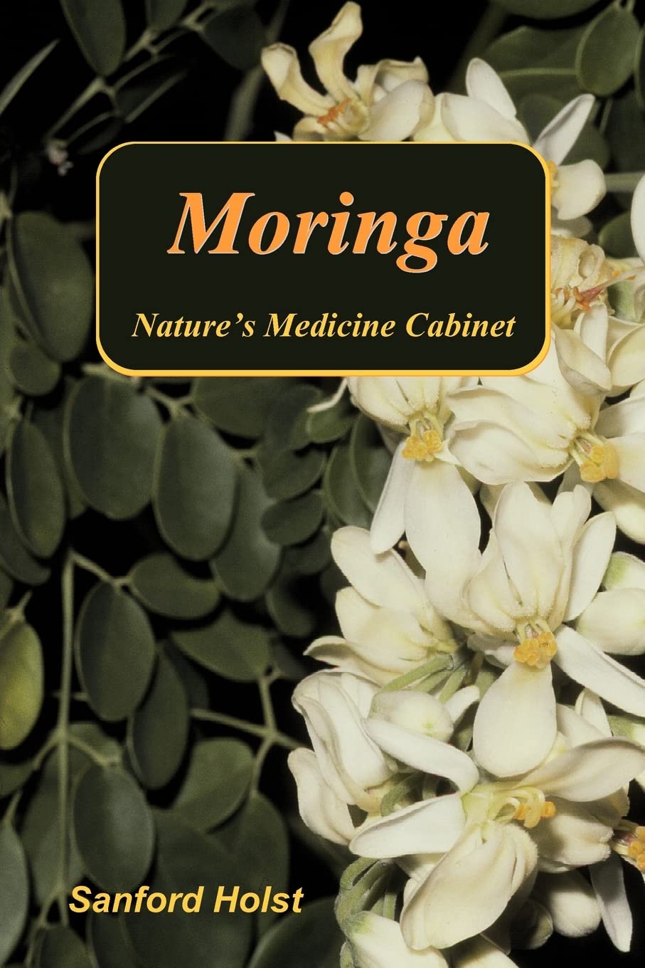 Moringa: Nature's Medicine Cabinet Medicine