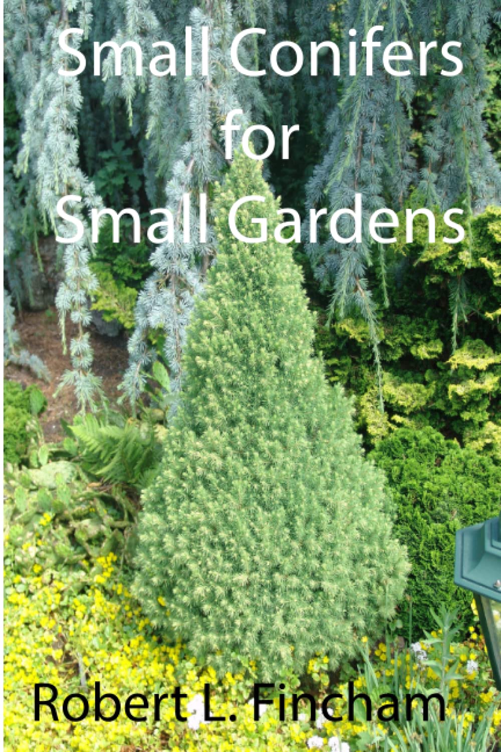 Small Conifers For Small Gardens (Cultivated Conifers For The Garden) Garden & Plants