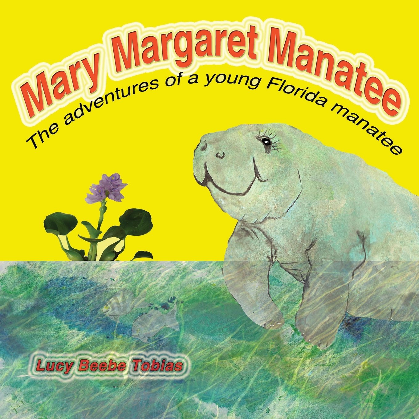 Mary Margaret Manatee Mathematics