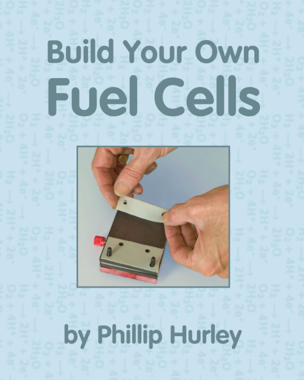 Build Your Own Fuel Cells Natural Sciences