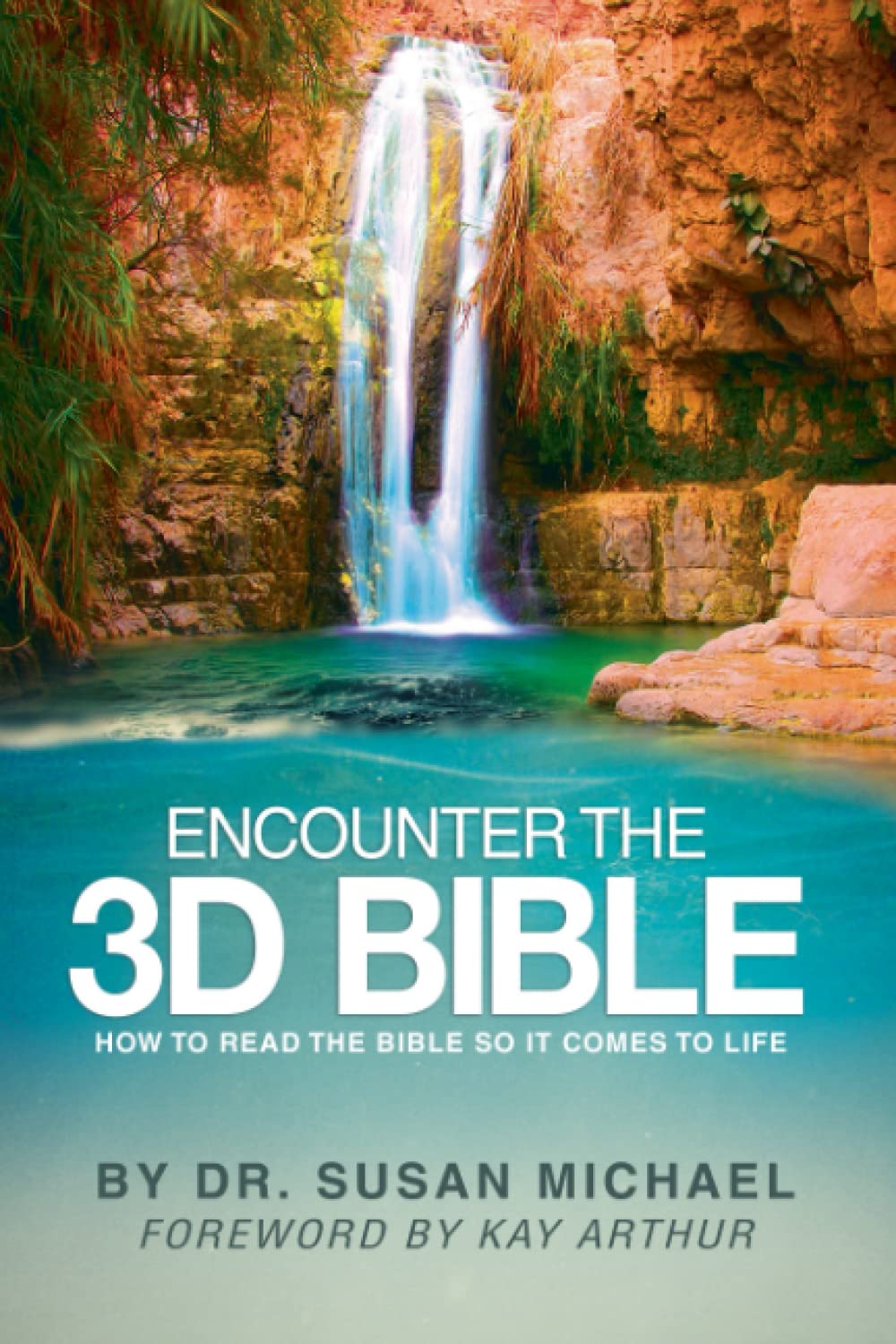 Encounter the 3D Bible: How to Read the Bible So It Comes to Life Religion & Esotericism