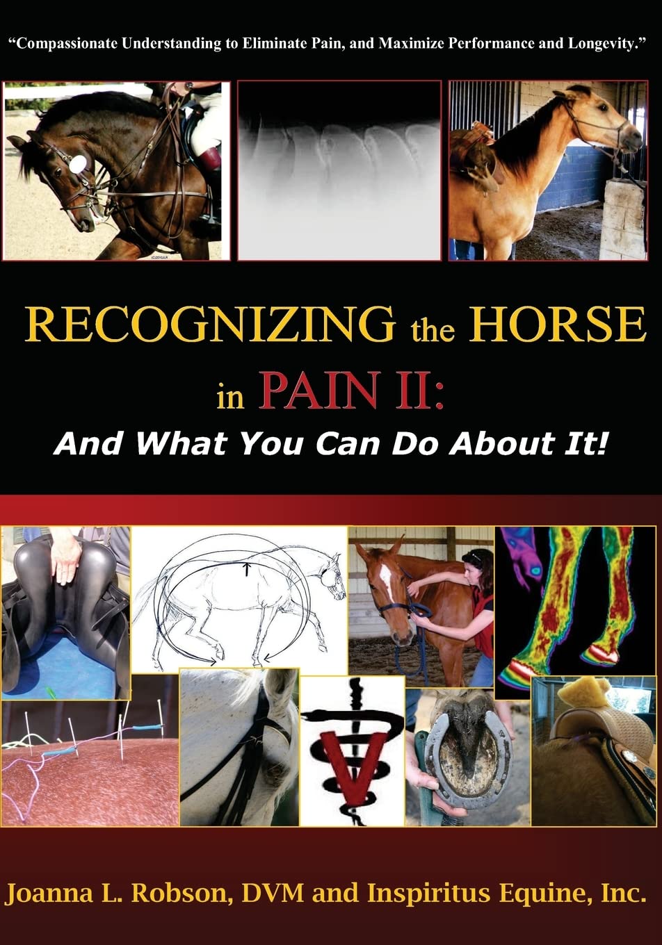 Recognizing the Horse in Pain II: And What You Can Do About It! Pets