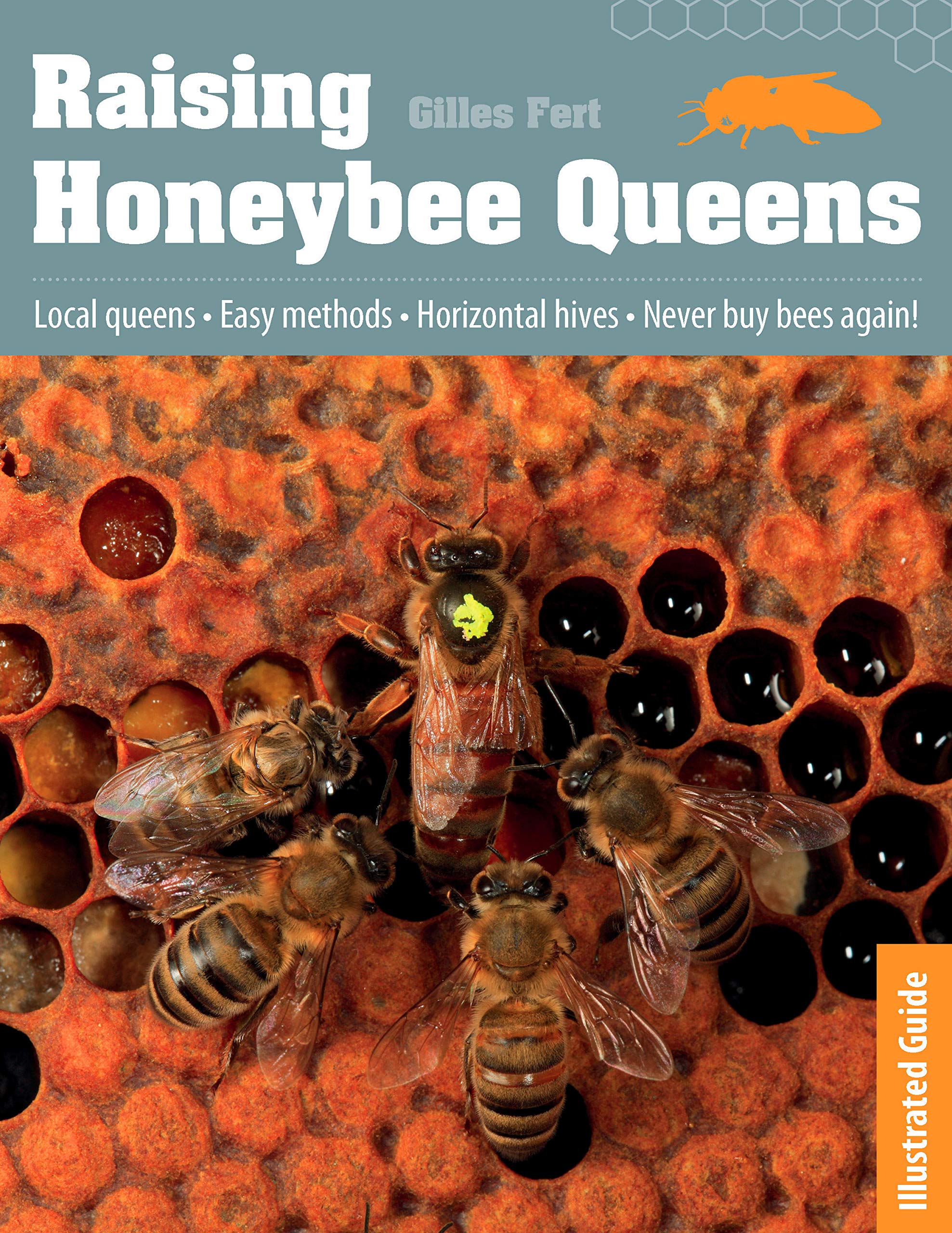 Raising Honeybee Queens: An Illustrated Guide to Success Books
