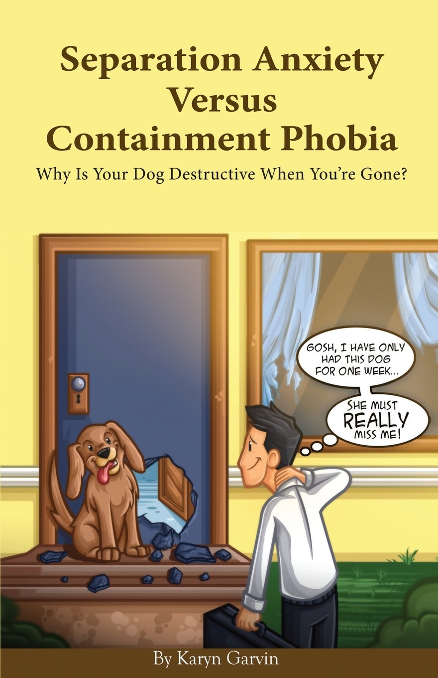 Separation Anxiety Versus Containment Phobia: Why Is Your Dog Destructive When You're Gone? Pets