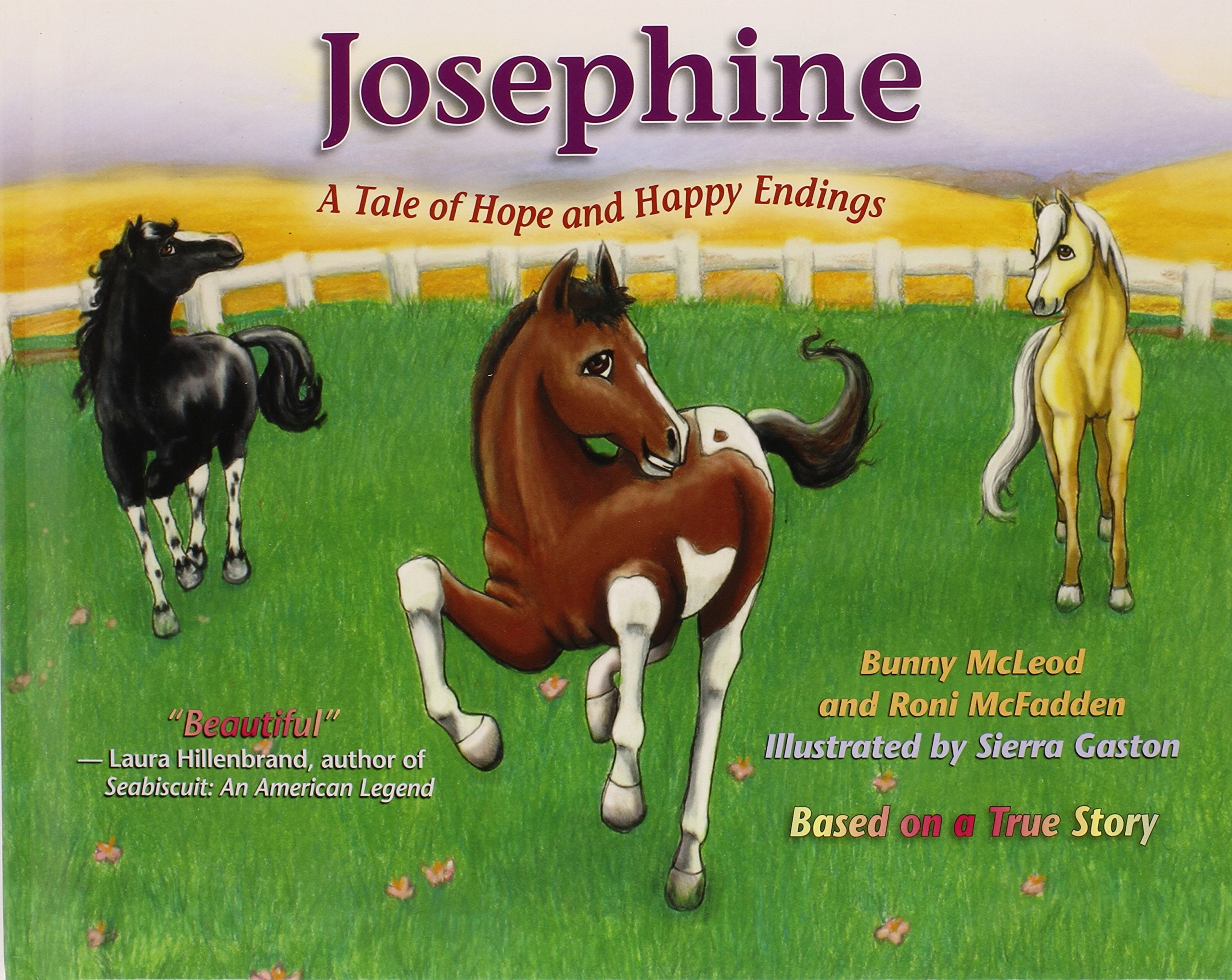 Josephine ~ A Tale of Hope and Happy Endings Children's books