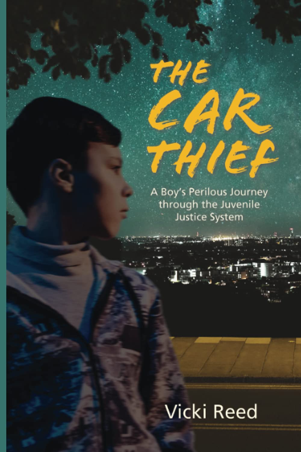 The Car Thief: A Boy's Perilous Journey through the Juvenile Justice System Contemporary literature