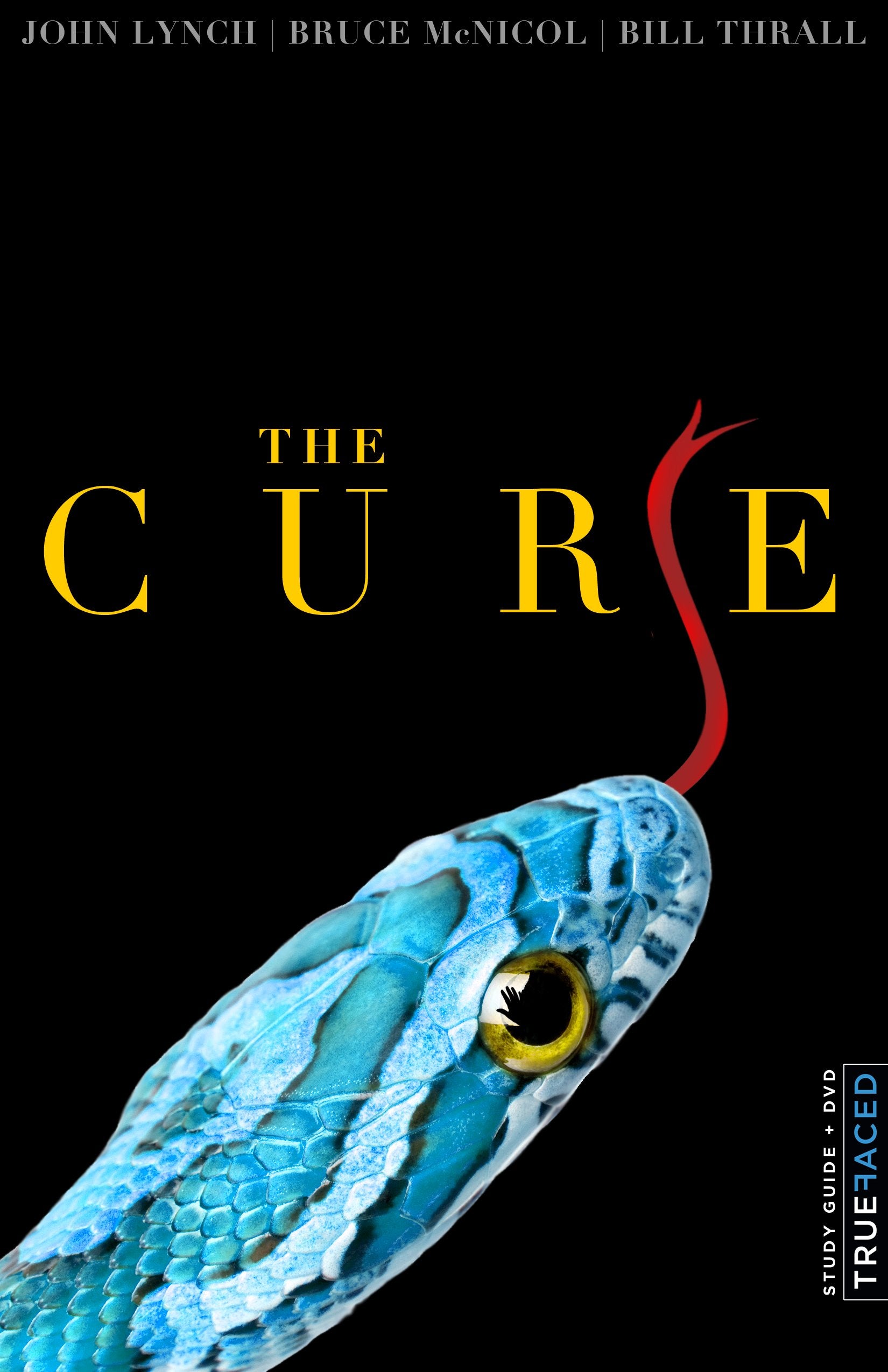 The Cure: What If God Isn't Who You Think He Is and Neither Are You?: Study Guide/Workbook Religion & Esotericism
