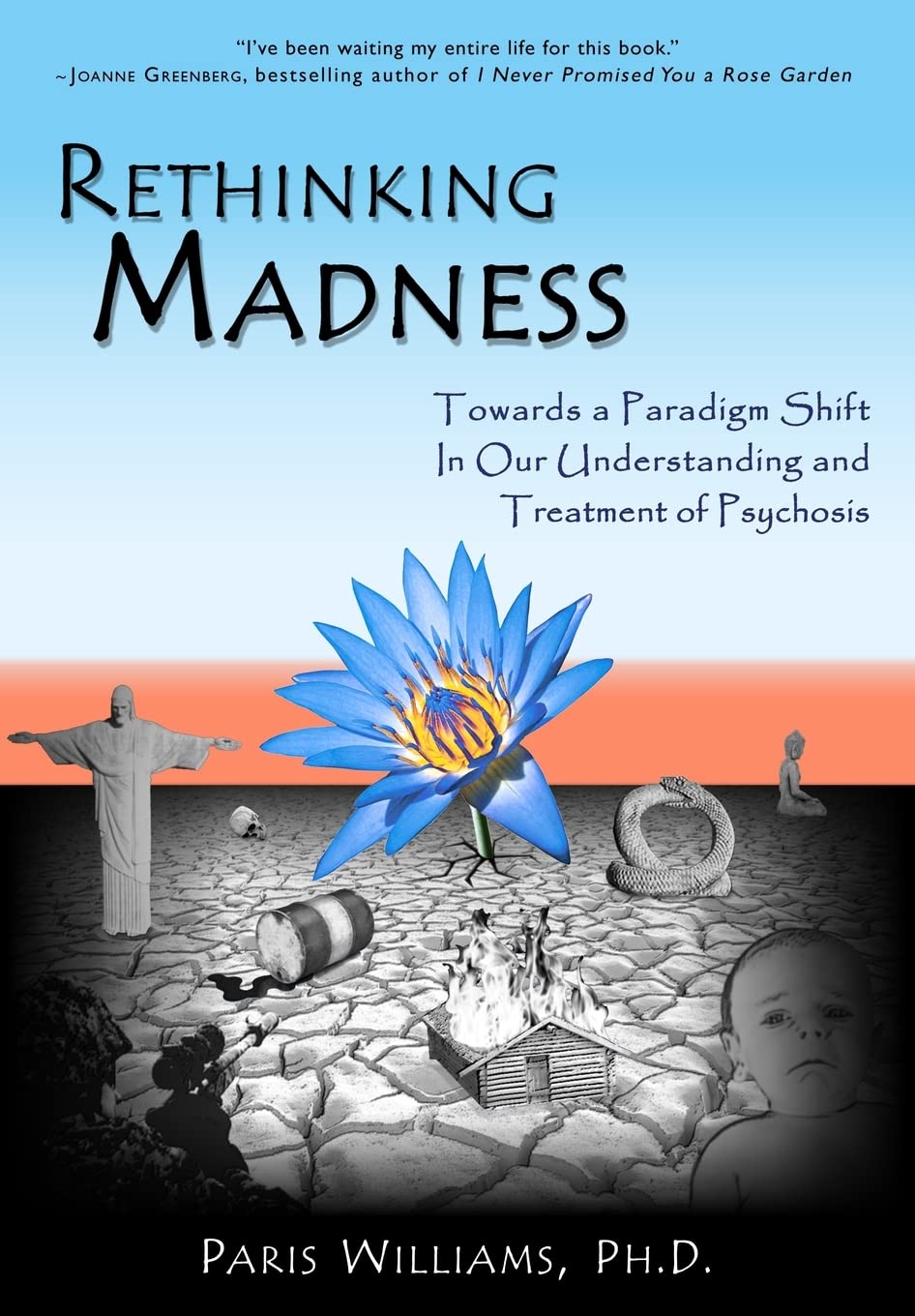 Rethinking Madness: Towards a Paradigm Shift in our Understanding and Treatment of Psychosis book