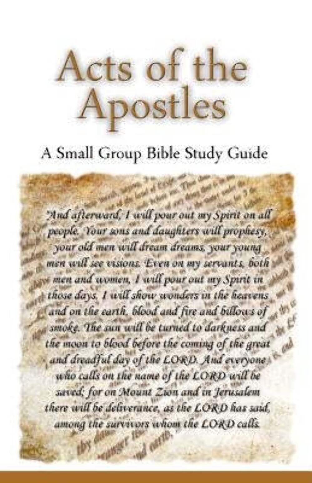 Acts of the Apostles, A Small Group Bible Study Guide Religion & Esotericism