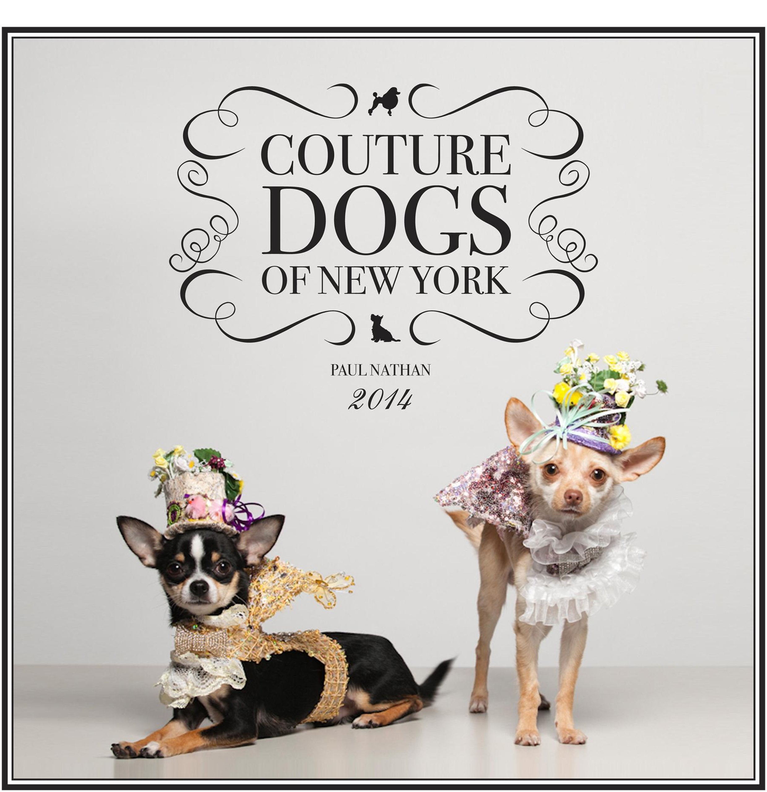 Couture Dogs of New York 2014 Calendar Pets
