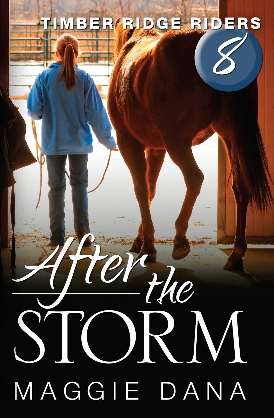 After the Storm (Timber Ridge Riders, Band 8) Leisure & Fun