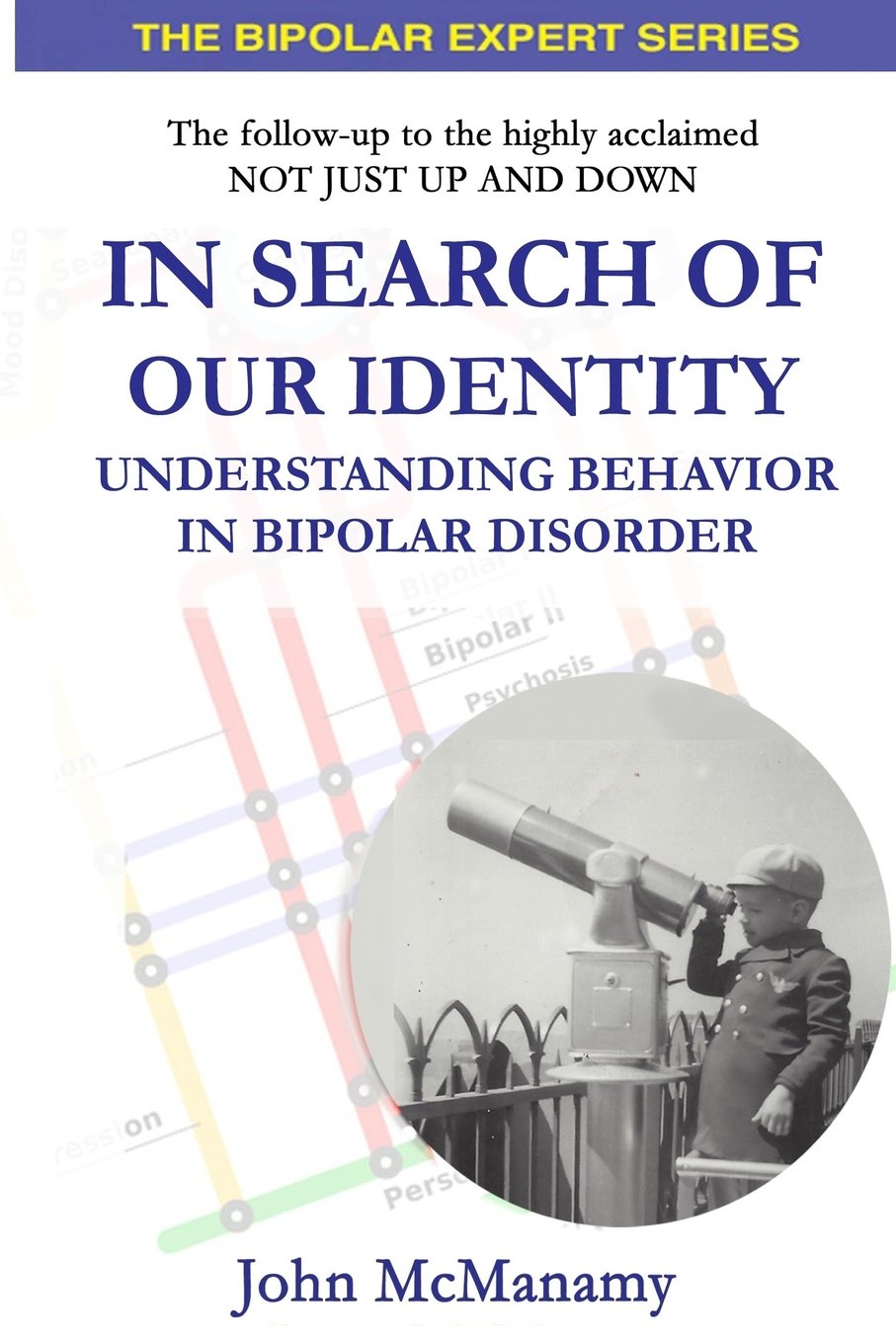 In Search of Our Identity: Understanding Behavior In Bipolar Disorder (The Bipolar Expert Series, Band 2) Social Sciences