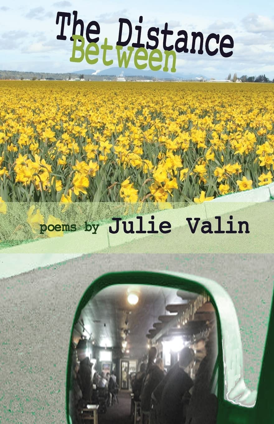 The Distance Between: poems by Julie Valin book