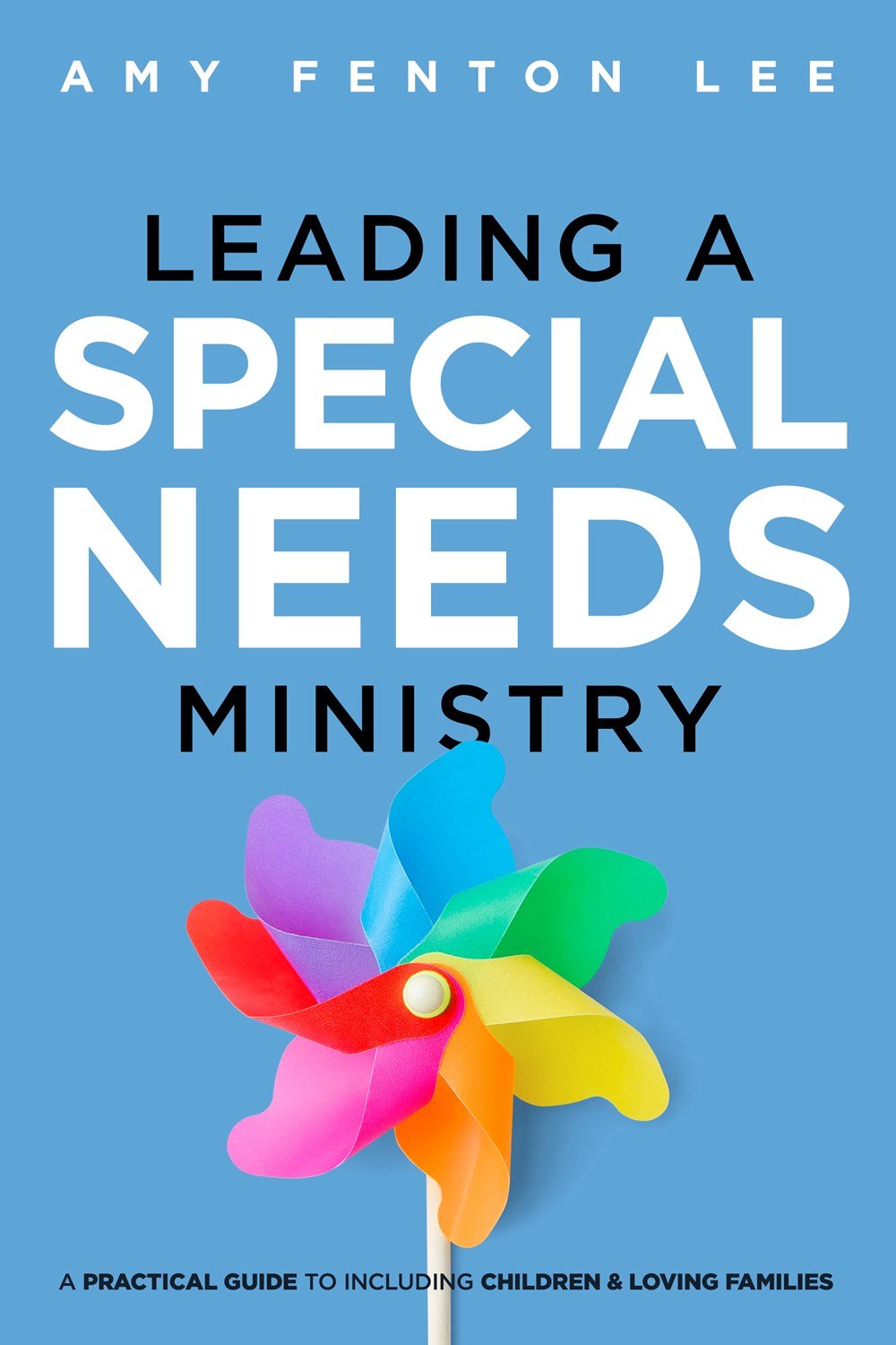 Leading a Special Needs Ministry : A Practical Guide to Including Children and Loving Families Books