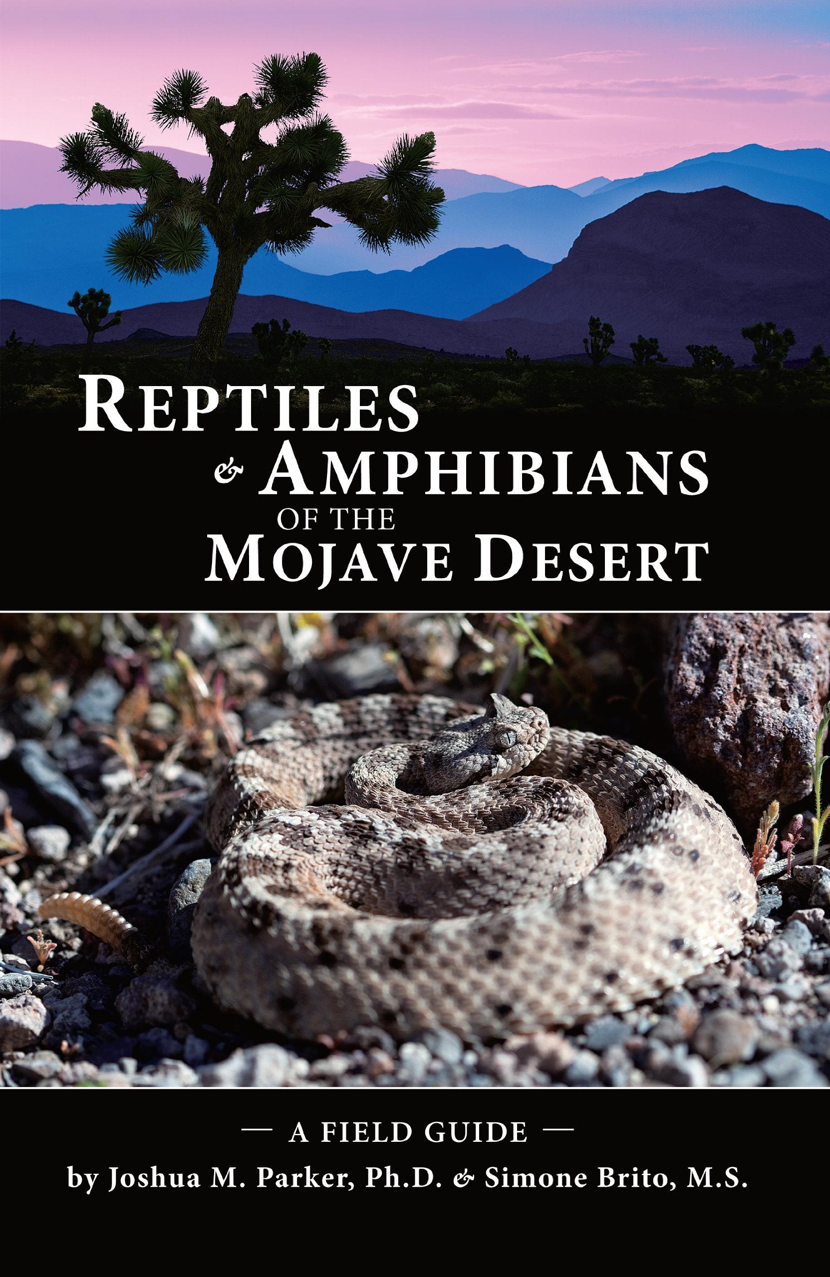 Reptiles and Amphibians of the Mojave Desert: A Field Guide Books