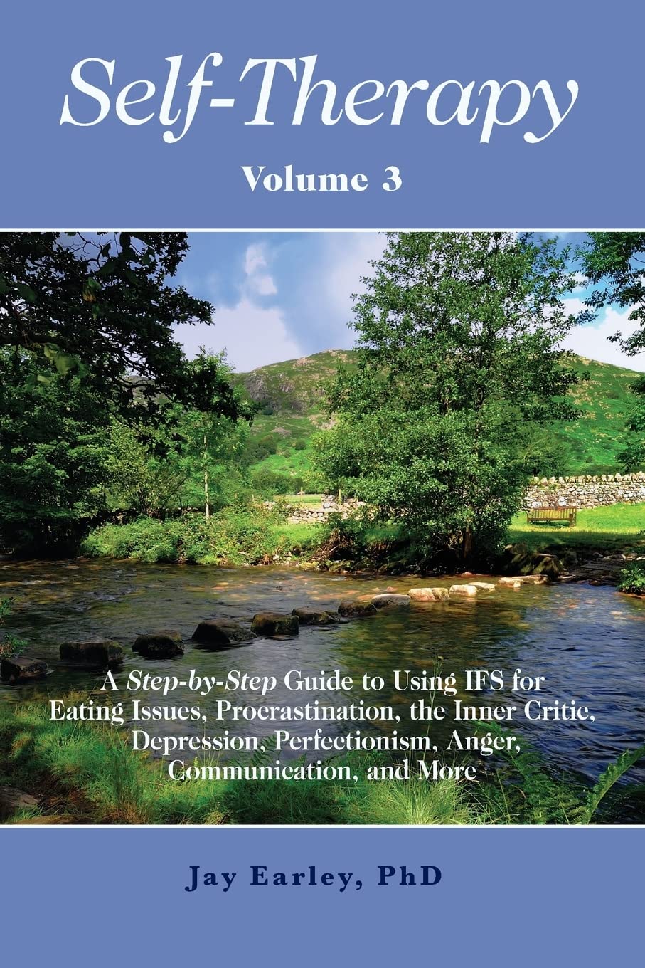 Self-Therapy, Vol. 3: A Step-by-Step Guide to Using IFS for Eating Issues, Procrastination, the Inner Critic, Depression, Perfectionism, Anger, Communication, and More book