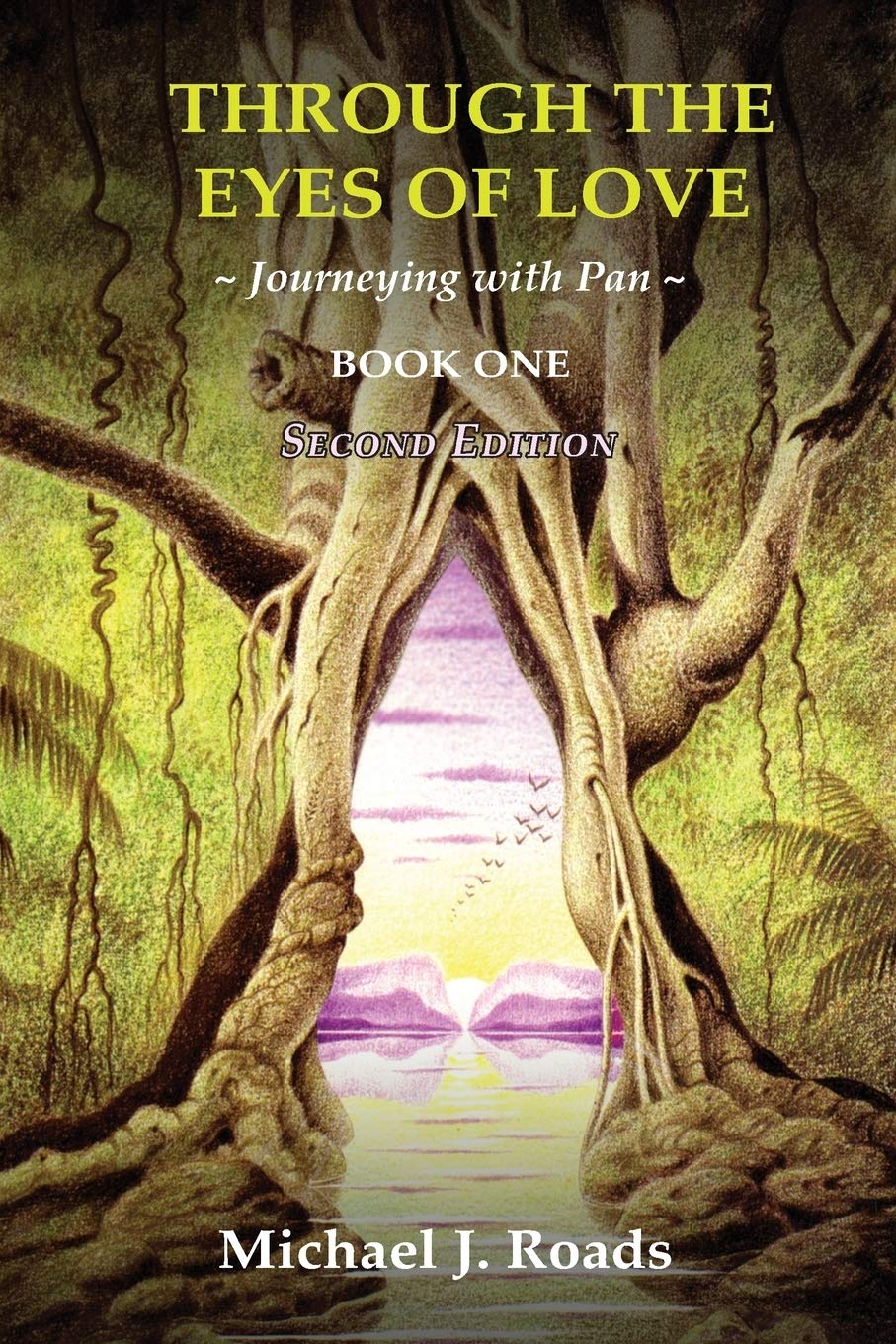 Through the Eyes of Love book