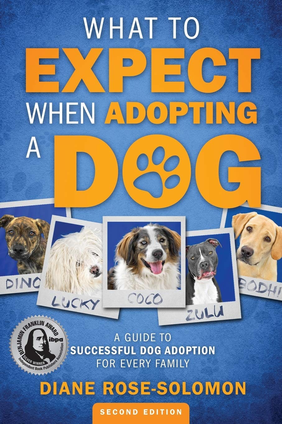 What to Expect When Adopting a Dog Pets