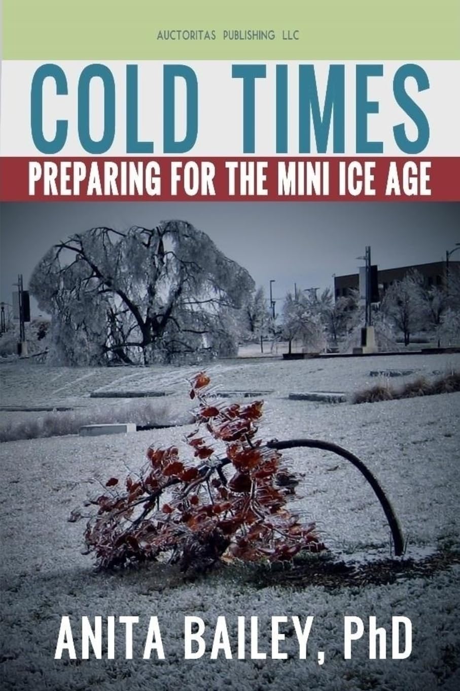 Cold Times: How to Prepare for the Mini Ice Age book
