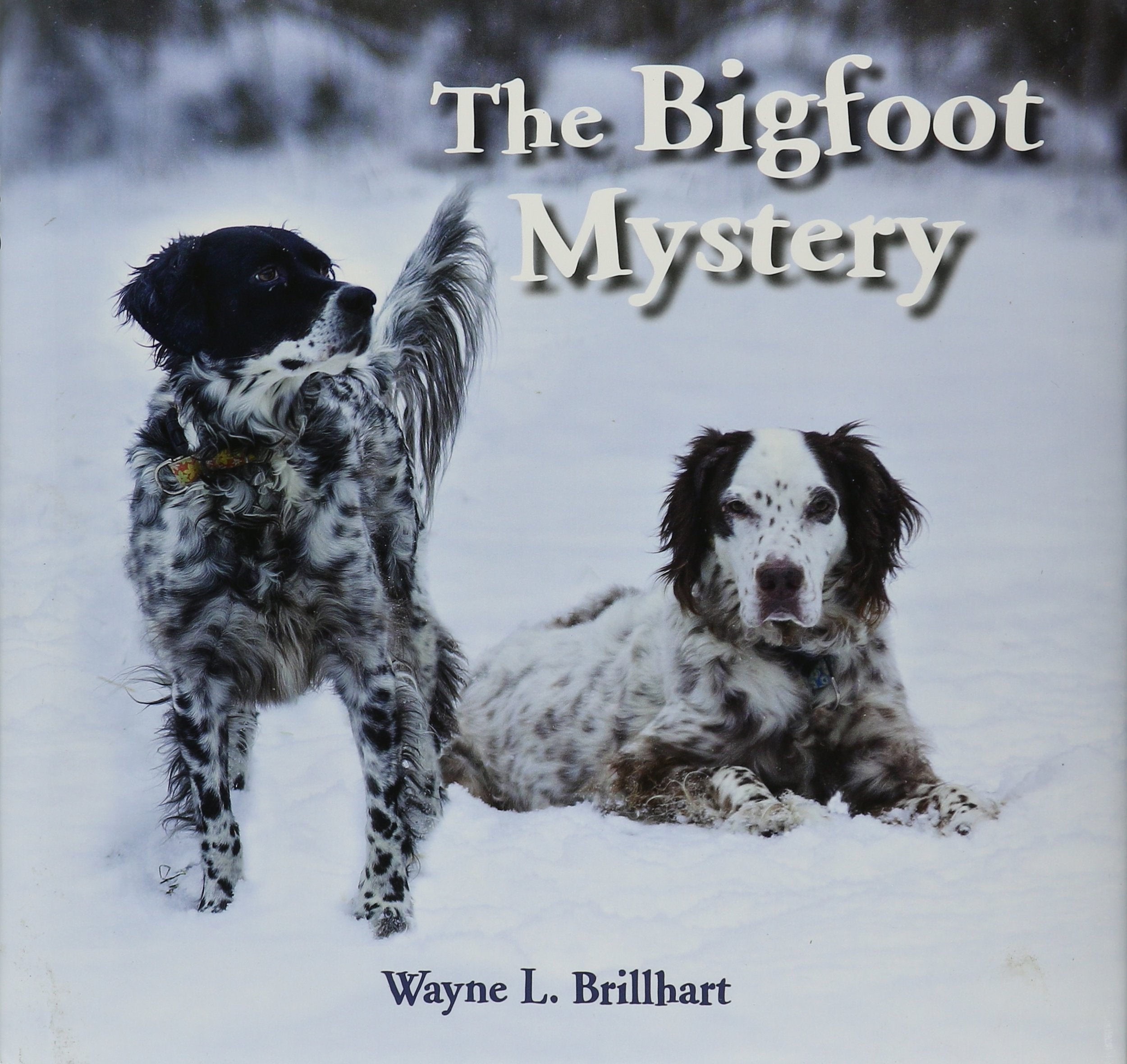 Product Image: The Bigfoot Mystery