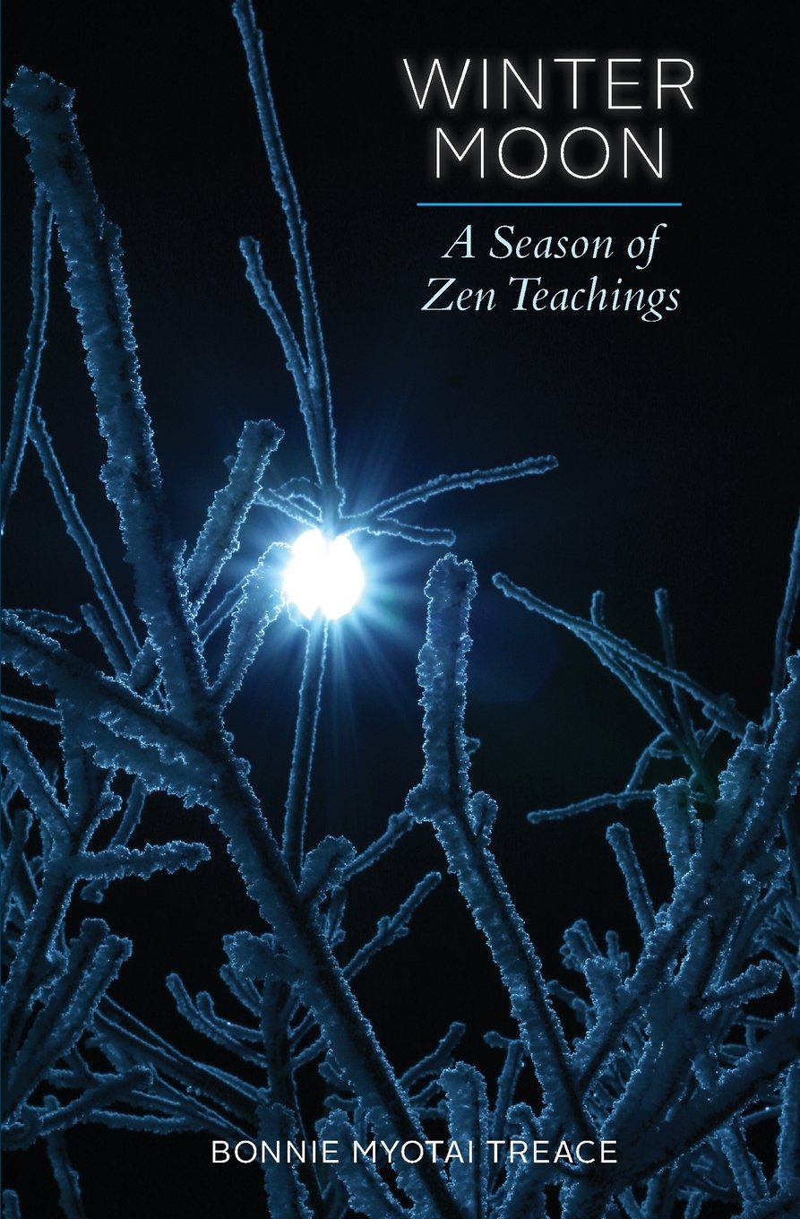 Winter Moon: A Season of Zen Teachings (Four Season of Zen, Band 1) Religion & Esotericism