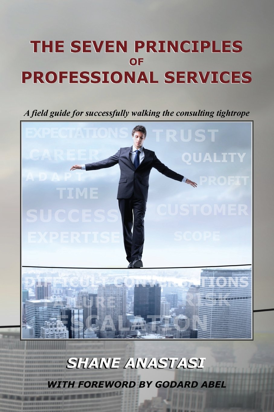 The Seven Principles of Professional Services: A field guide for successfully walking the consulting tightrope Business, Finance & Career