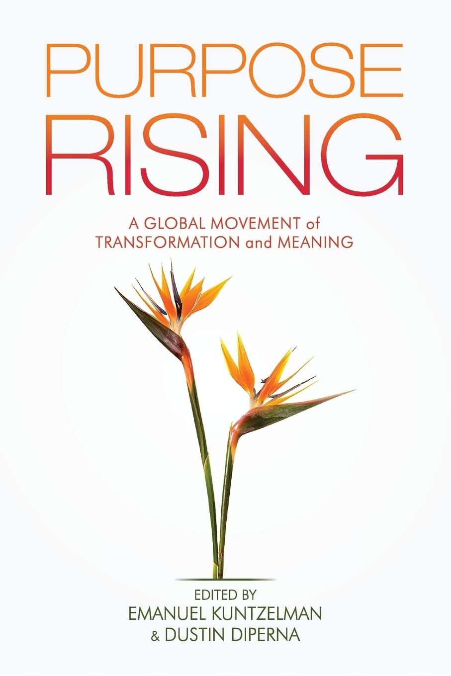 Purpose Rising: A Global Movement of Transformation and Meaning Education & Training