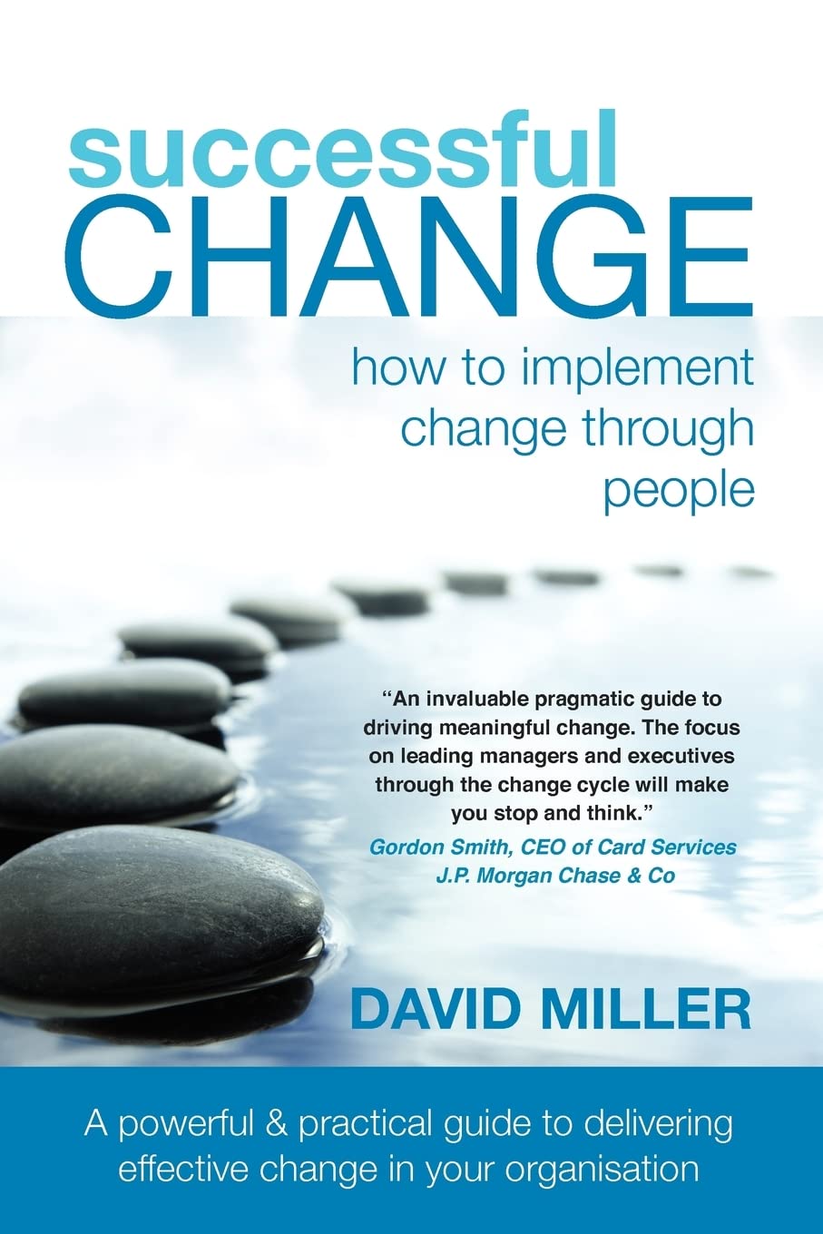 Successful Change - How to Implement Change Through People Business, Finance & Career