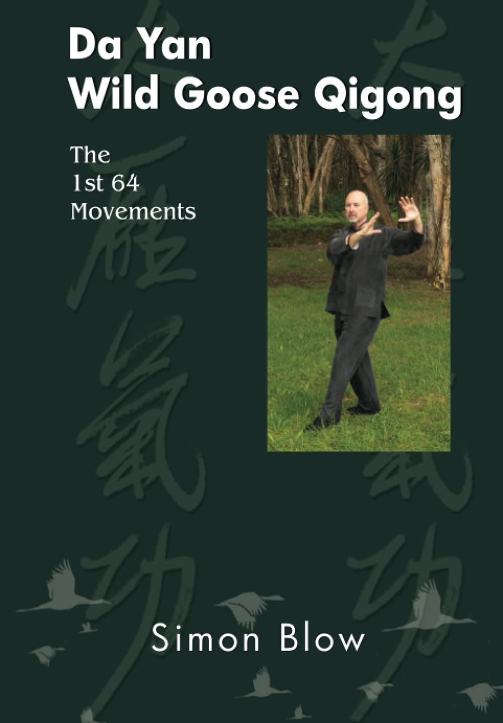 Da Yan Wild Goose Qigong the 1st 64 Movements book
