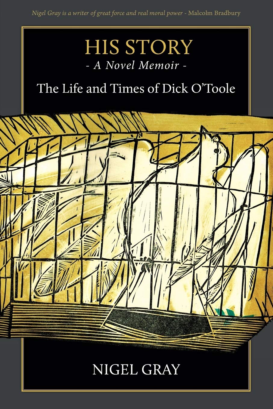 His Story: A Novel Memoir - The life and times of Dick O'Toole Contemporary literature