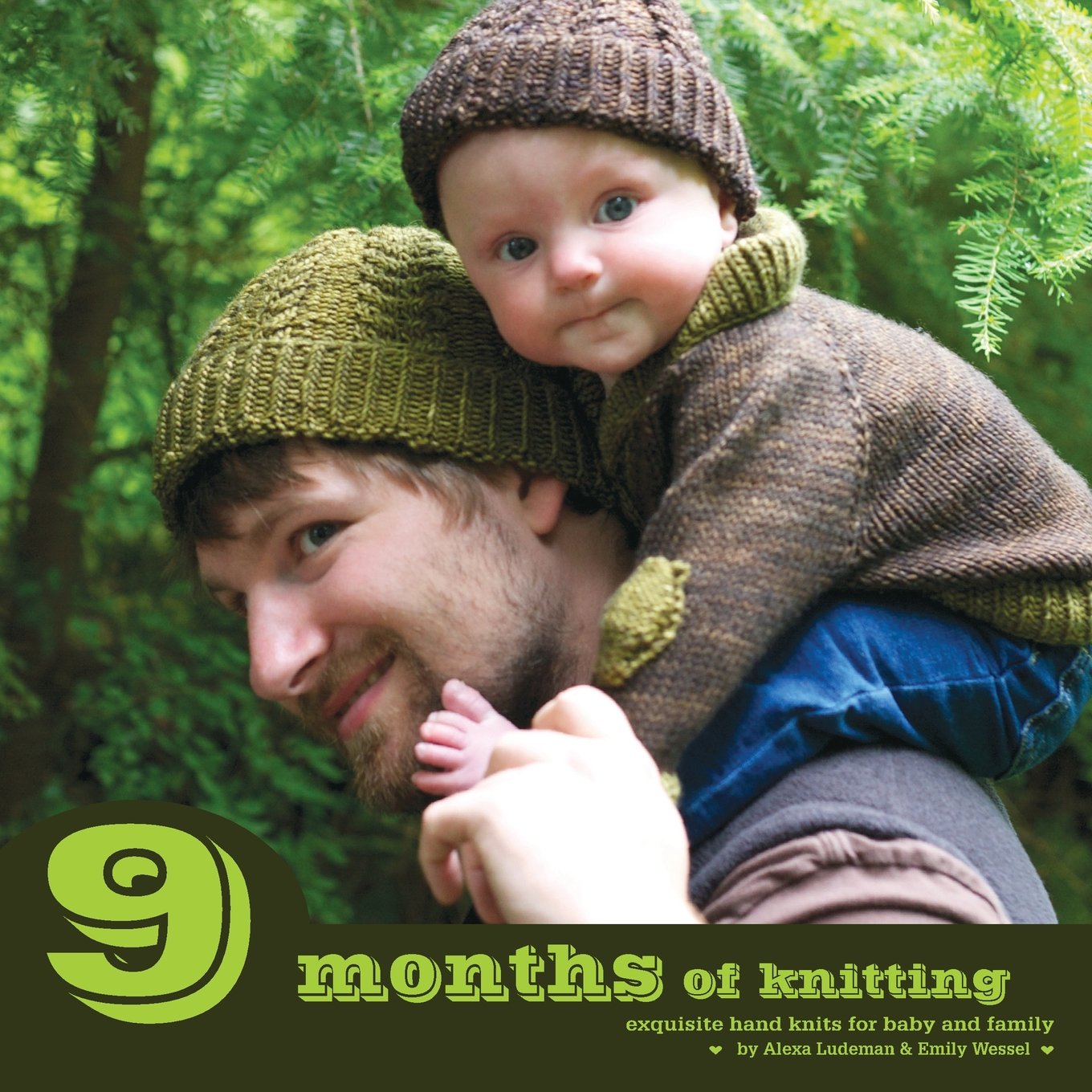 9 Months of Knitting: Exquisite Knits for Baby and Family book