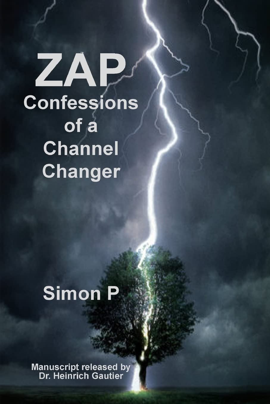 Zap: Confessions of a Channel Changer Contemporary literature