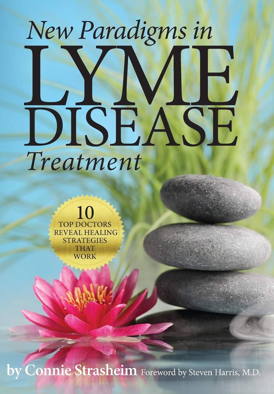 New Paradigms in Lyme Disease Treatment: 10 Top Doctors Reveal Healing Strategies That Work Medicine