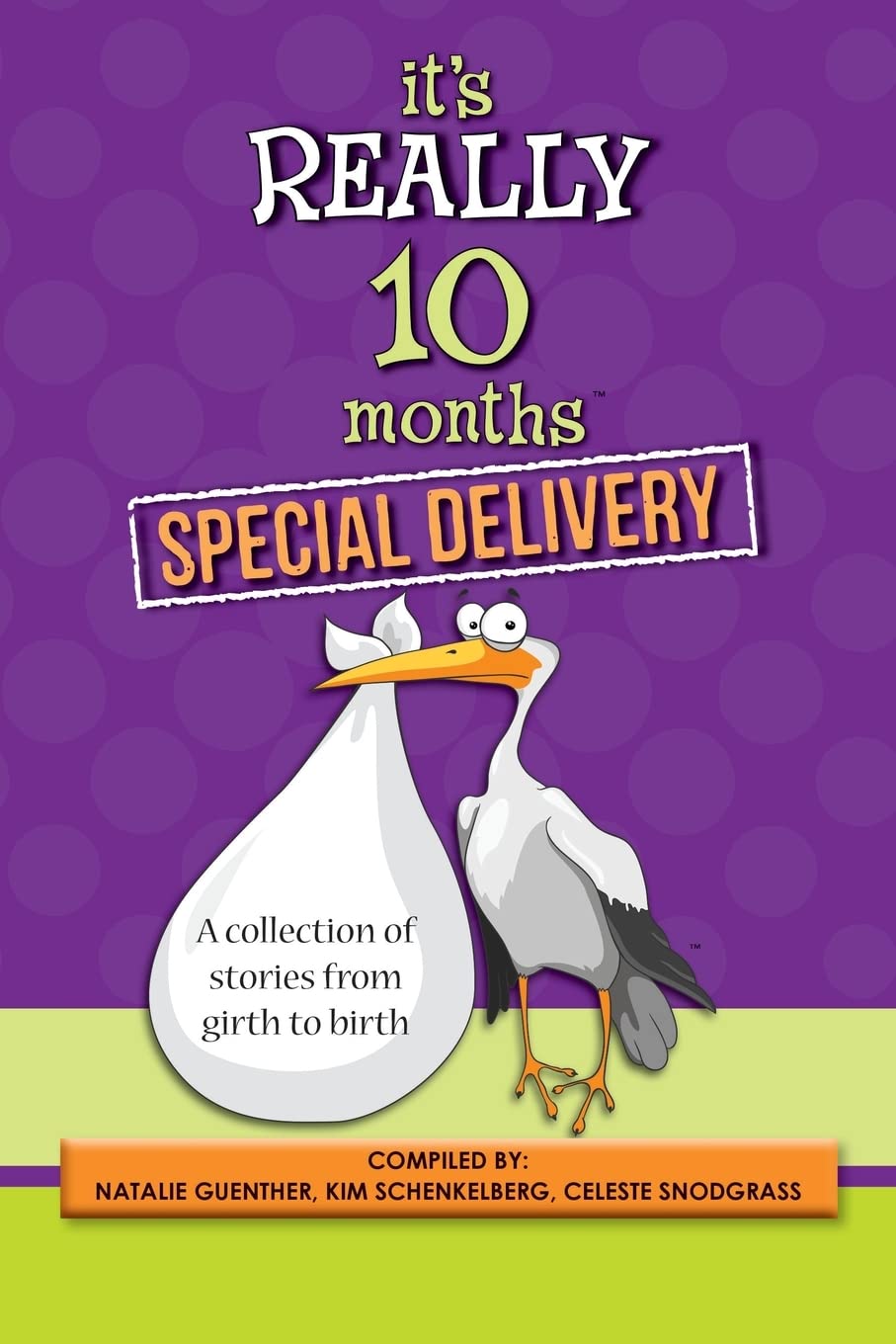 It's Really 10 Months Special Delivery Parents & Children